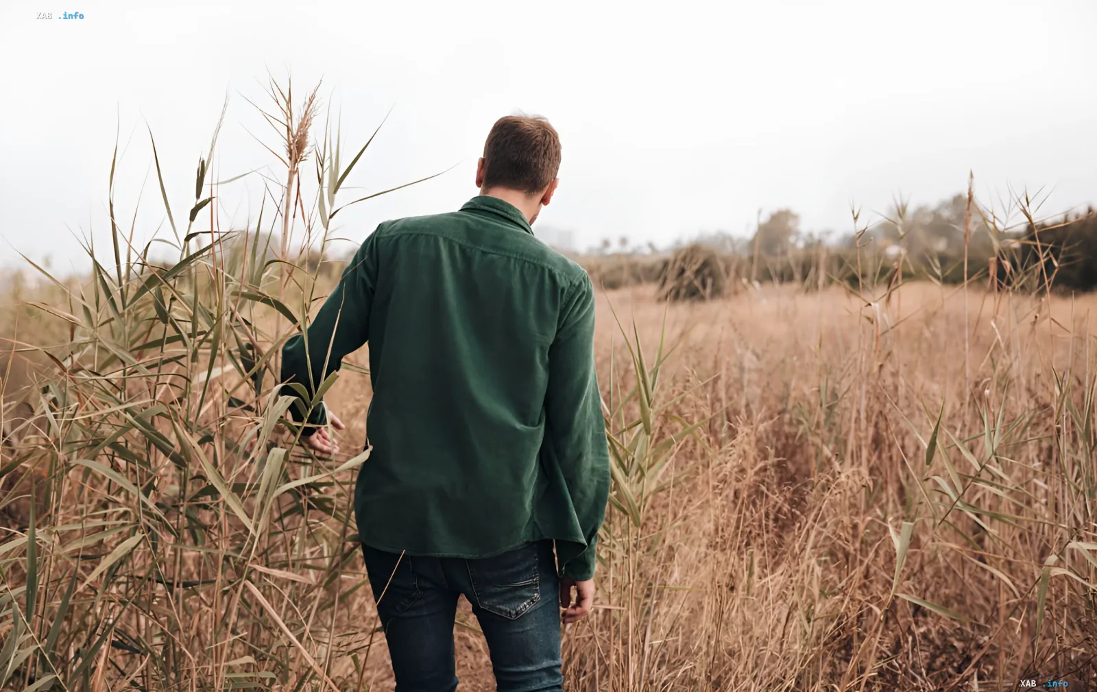 A young man in a green shirt walks through a dry field of tall grass — a metaphor for life's path in an article on the meaning of the name Matvey and its popularity in Ukraine in 2026