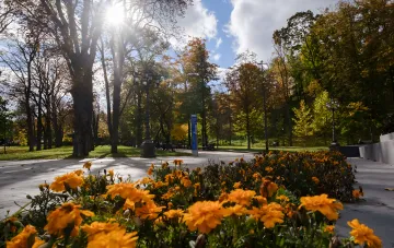 Солнечное бабье лето в украинском парке: осенняя листва и цветущие бархатцы на фоне яркого солнца