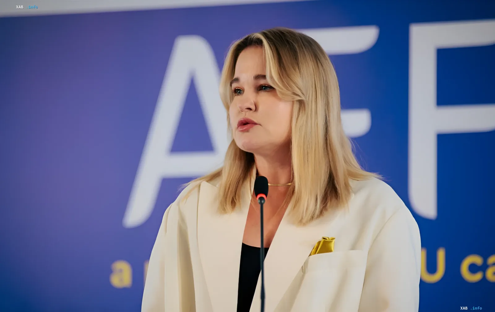Hetsmanchuk spricht an einem Pult über die Anpassung der Waffenanfragen der Ukraine an den Charakter des Krieges