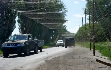 Anti-drone nets over a Ukrainian military logistics route: pickup trucks and a car drive along the protected road