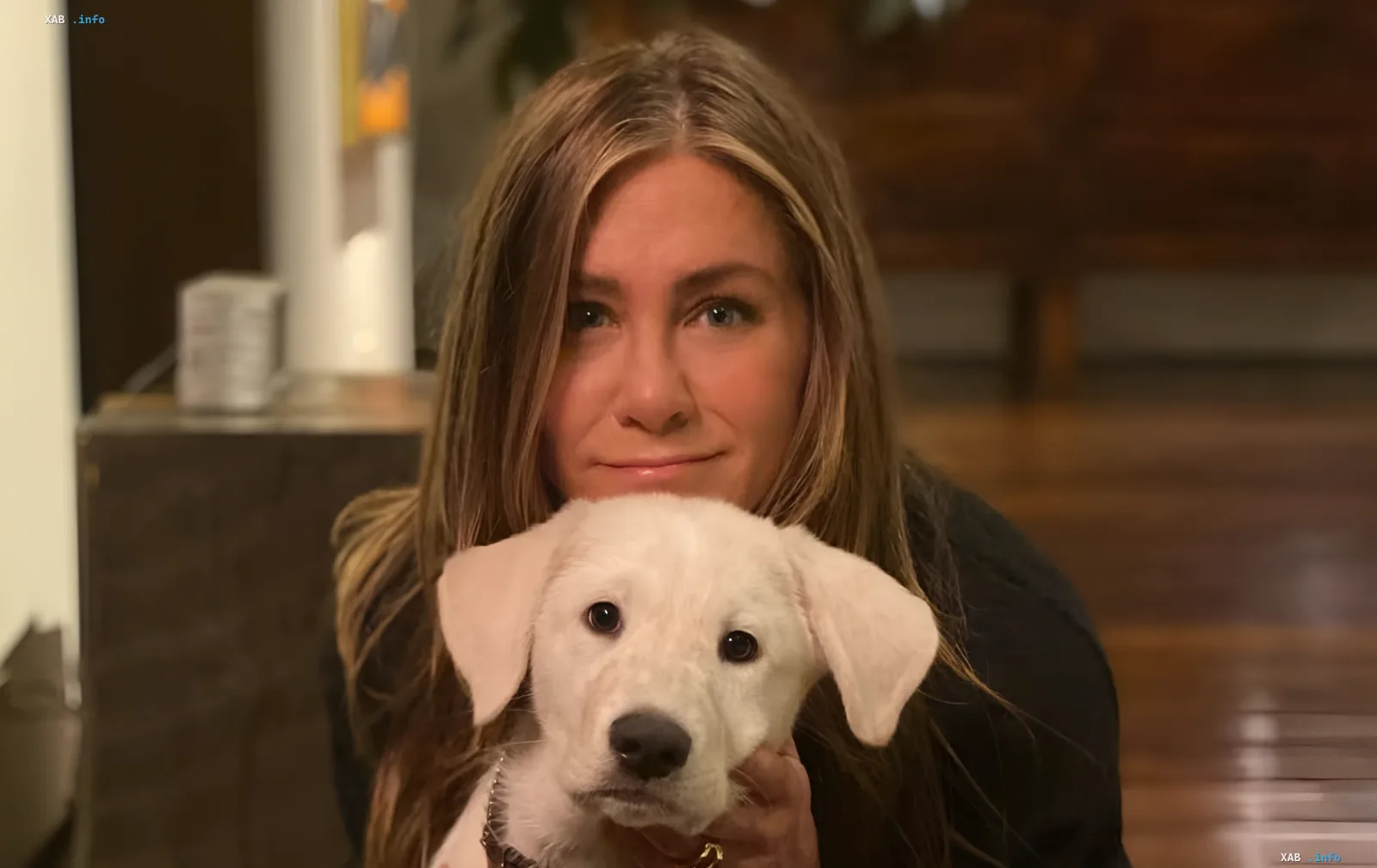 Jennifer Aniston hugging a white puppy as part of her animal rescue foundation work