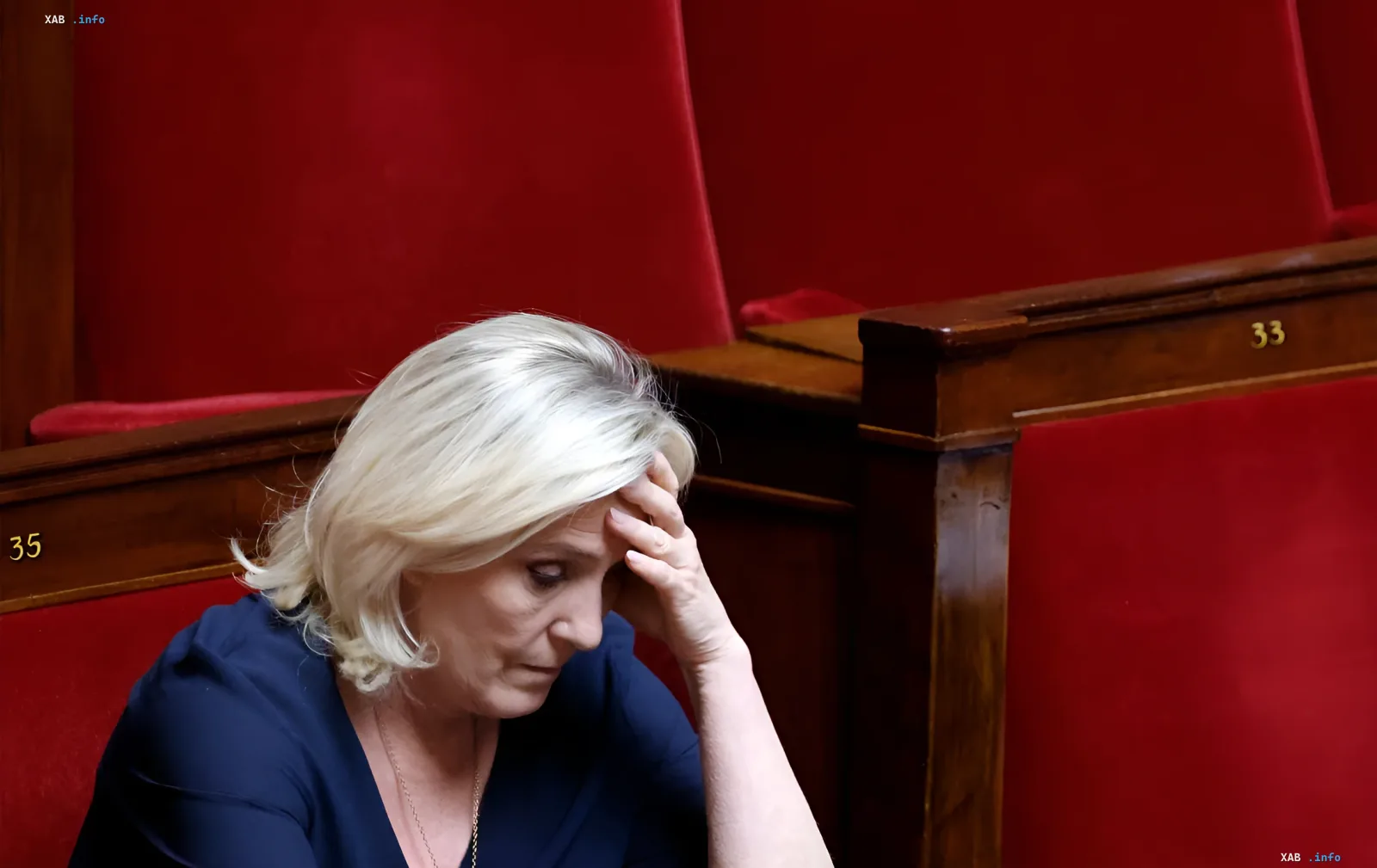 Марін Ле Пен у залі парламенту Франції на тлі заяви про скорочення витрат на військову допомогу Україні