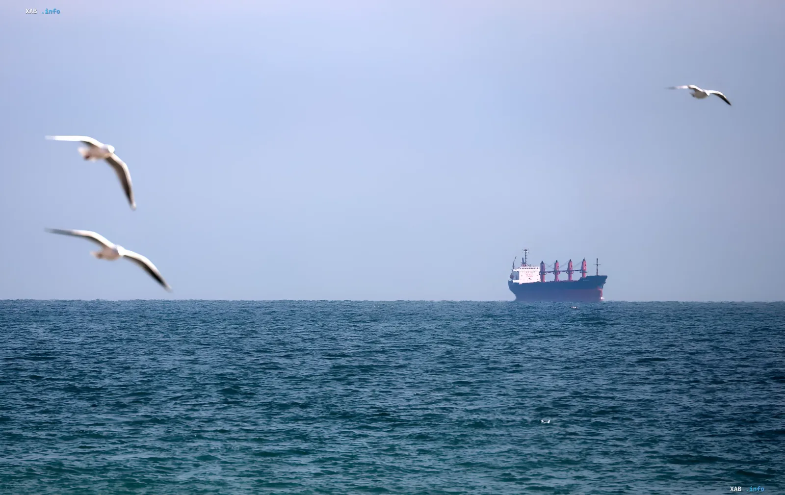 Гражданское судно в Чёрном море после атаки российского беспилотника, в небе чайки