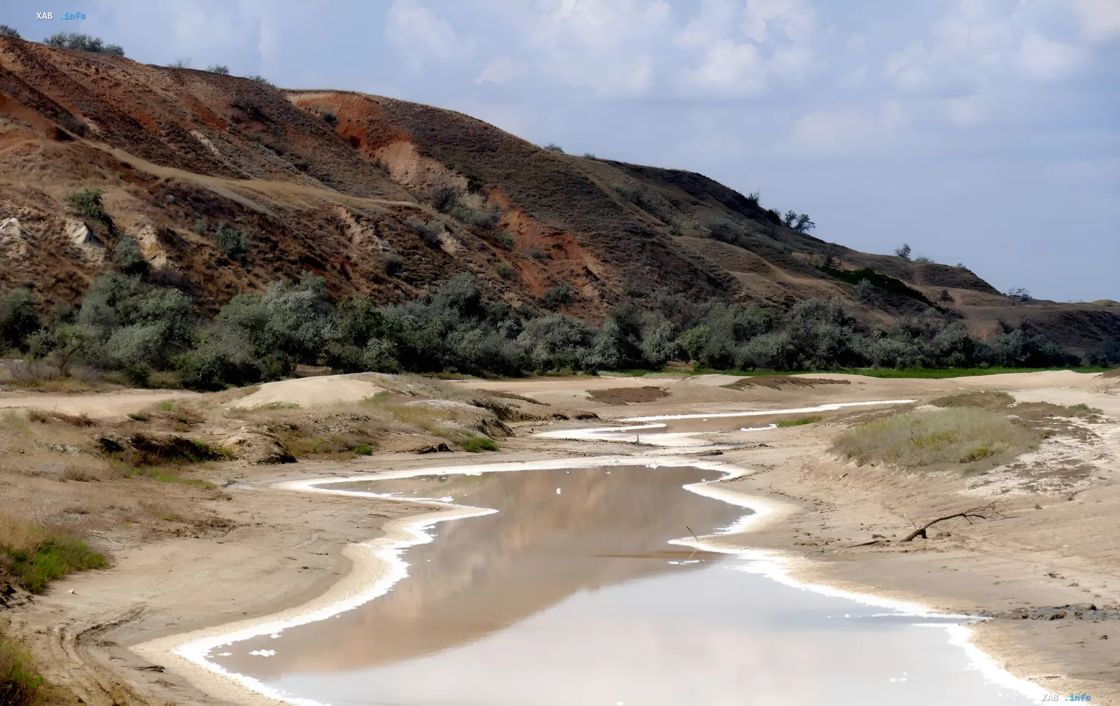 Пересохшее русло реки с критически низким уровнем воды на фоне засухи в Украине