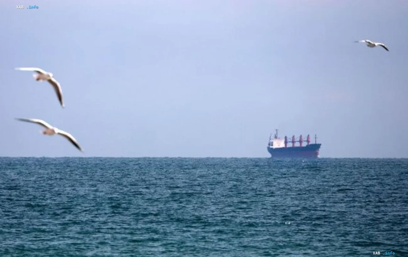 Cargo ship in the Black Sea after Russian attack: Ukrainian captain killed