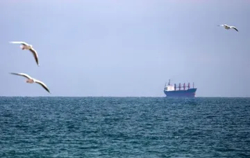 Cargo ship in the Black Sea after Russian attack: Ukrainian captain killed