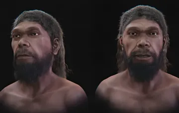 3D-модель лица древнейшего Homo sapiens из Джебель-Ирхуда