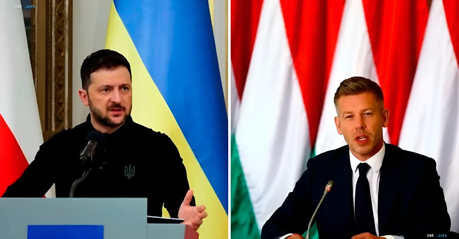 Встреча лидеров и дипломатический кризис вокруг саммита C8 и венгерско-украинских отношений