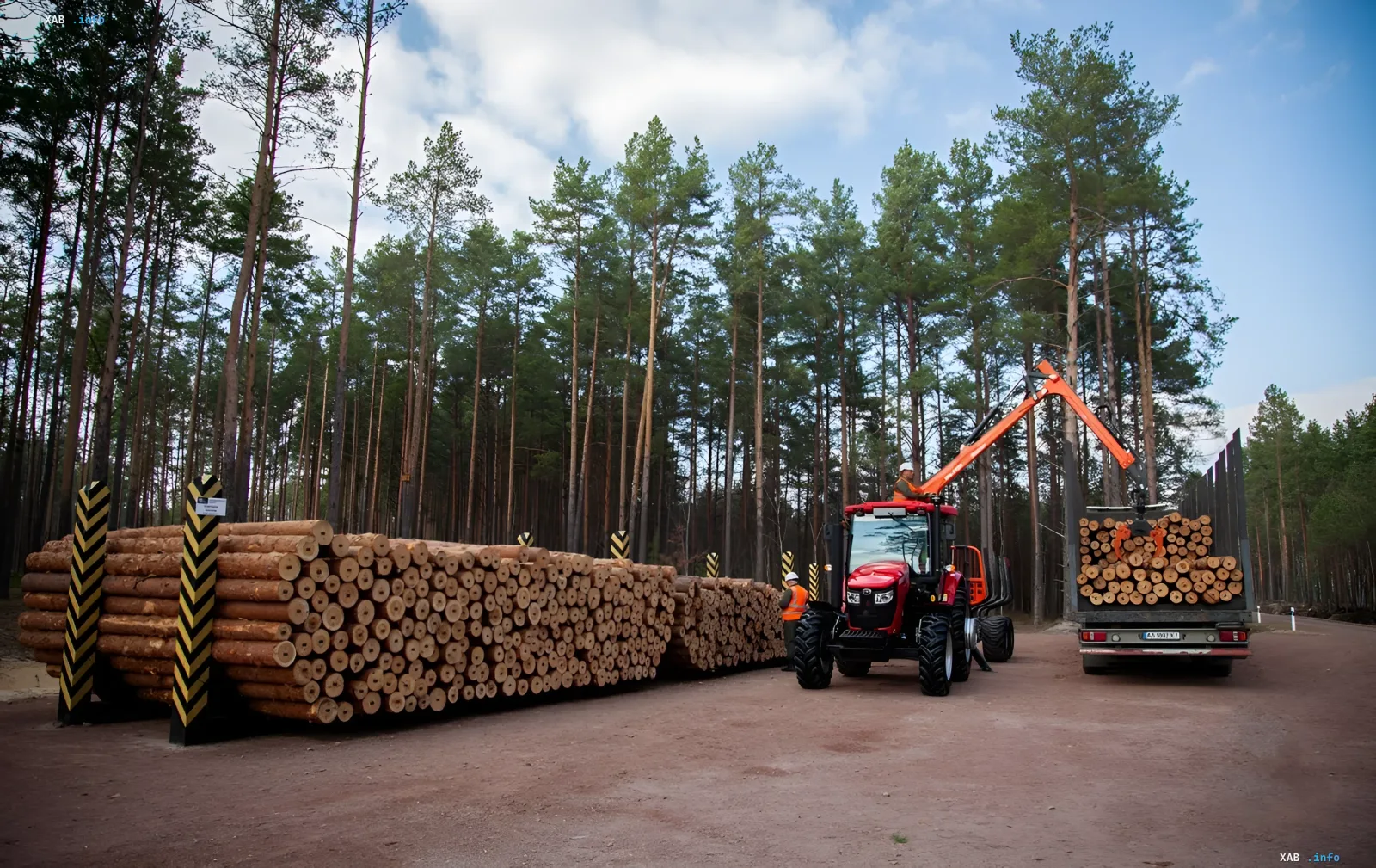 Forest area in Ukraine as part of the Forests of Ukraine SE reform