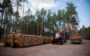 Forest area in Ukraine as part of the Forests of Ukraine SE reform