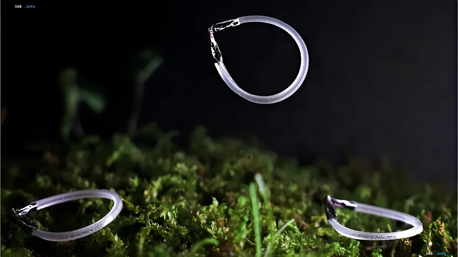 Infrared-powered jumping microrobot
