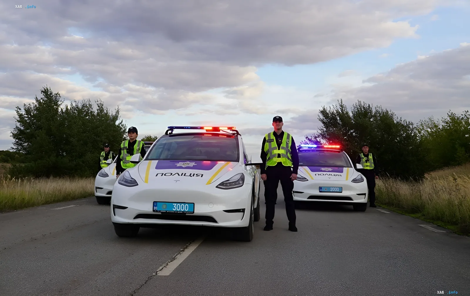 Электромобиль Tesla на службе полиции в Тернопольской области
