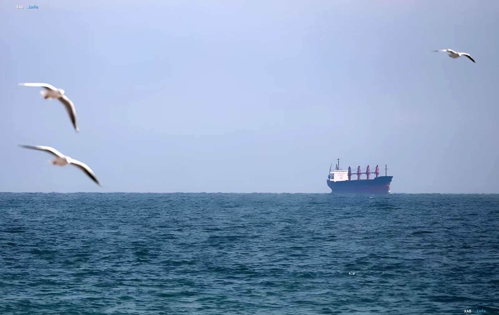 Черное море и суда с зерном под дипломатической защитой Турции и ООН