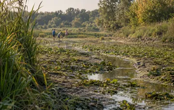 Ausgetrockneter ukrainischer Fluss im September 2026