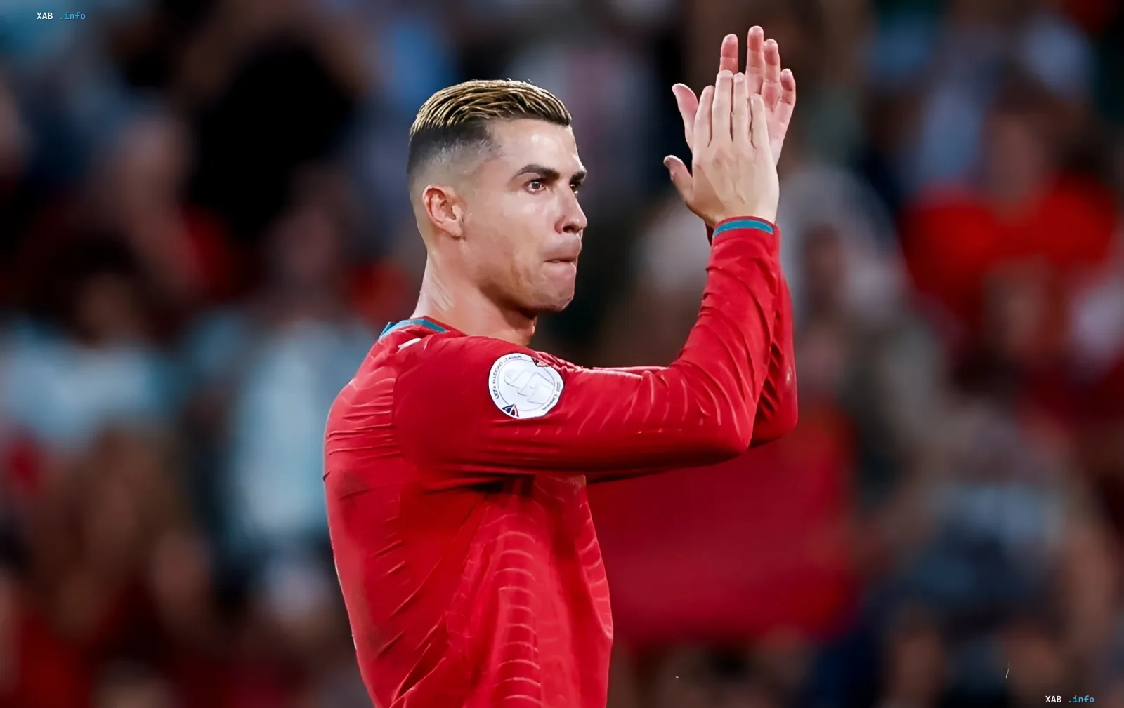 Cristiano Ronaldo in the Portugal national team kit