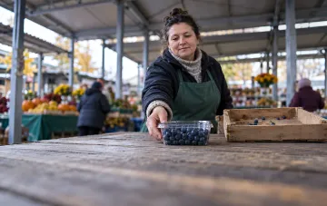 Свежие спелые малина и голубика на рыночном прилавке в Украине