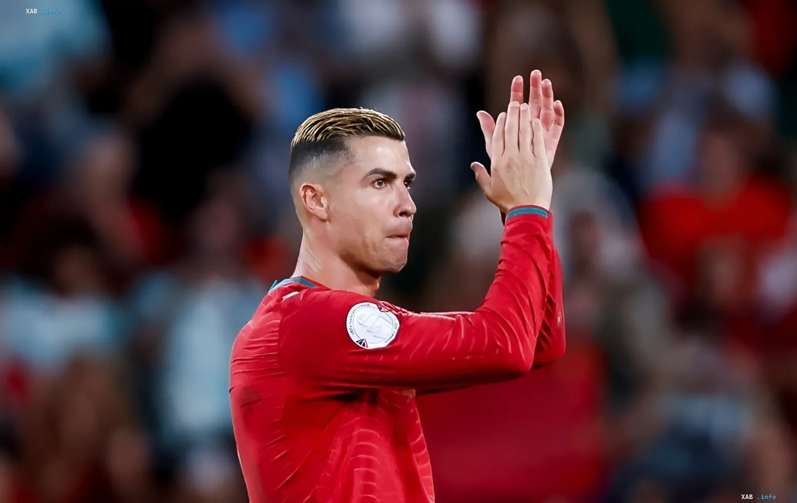 Cristiano Ronaldo wearing the Portugal national team kit