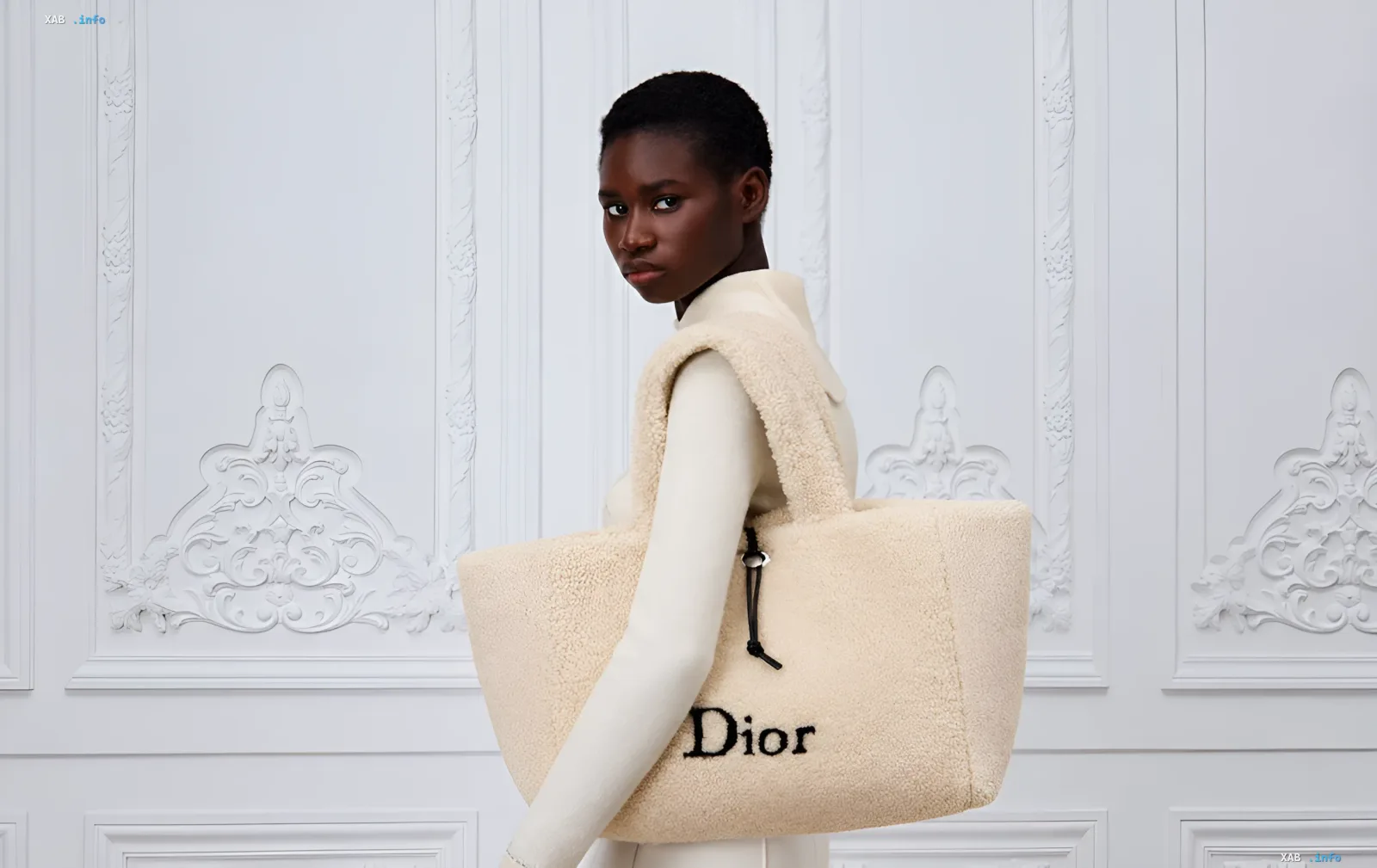 Elements of Jonathan Anderson's DiorAlps 2027 winter capsule