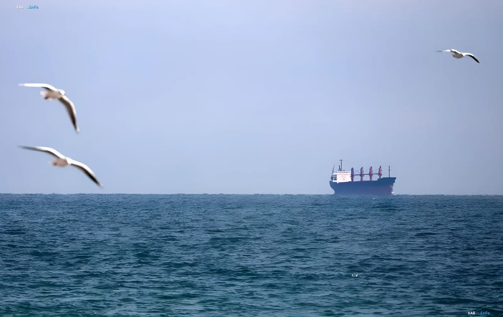 Angegriffenes Zivilschiff im Schwarzen Meer vor der bulgarischen Küste
