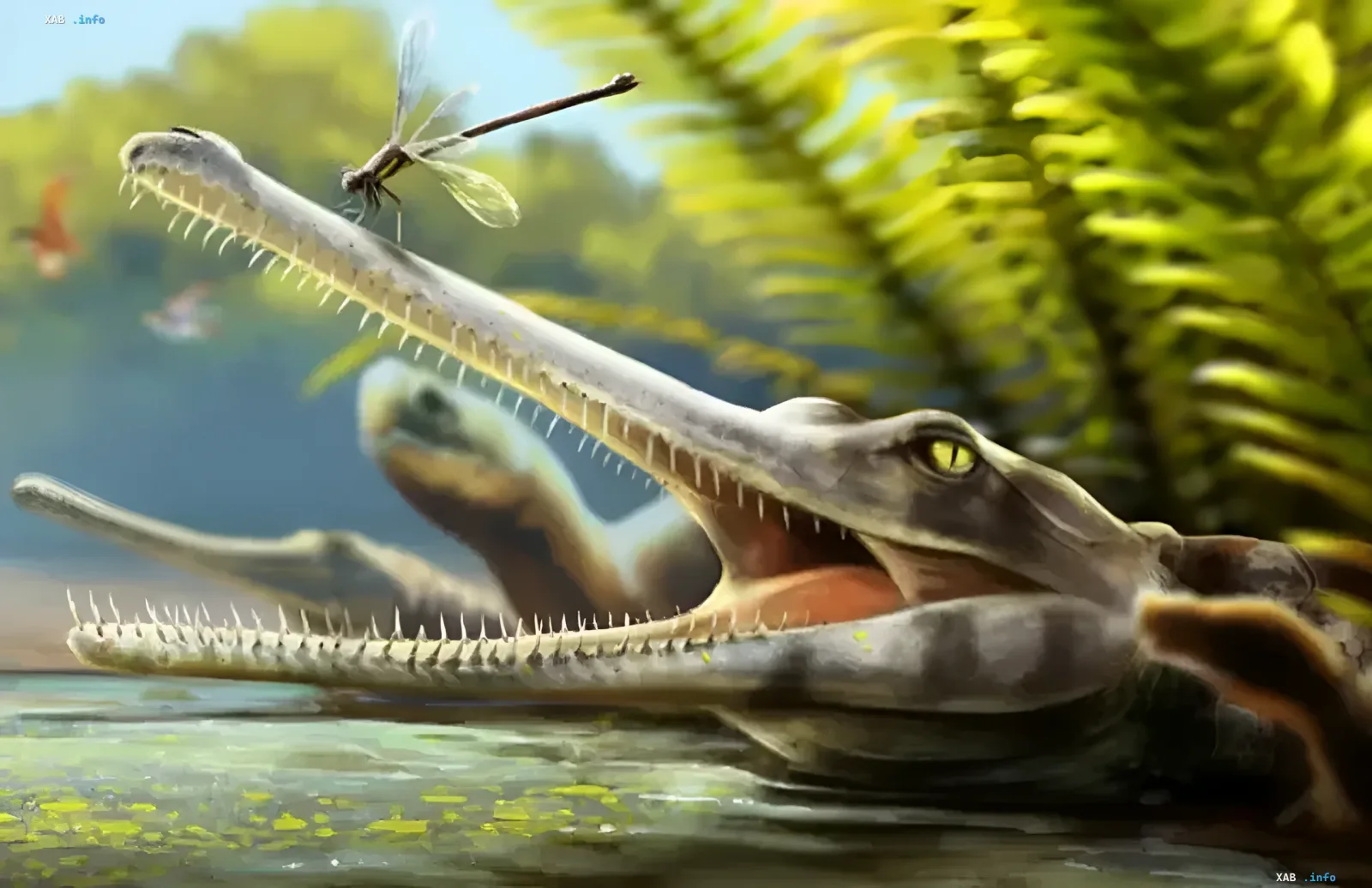 Remains of the new prehistoric crocodile species Ctenosuchus tenuidens from 170 million years ago