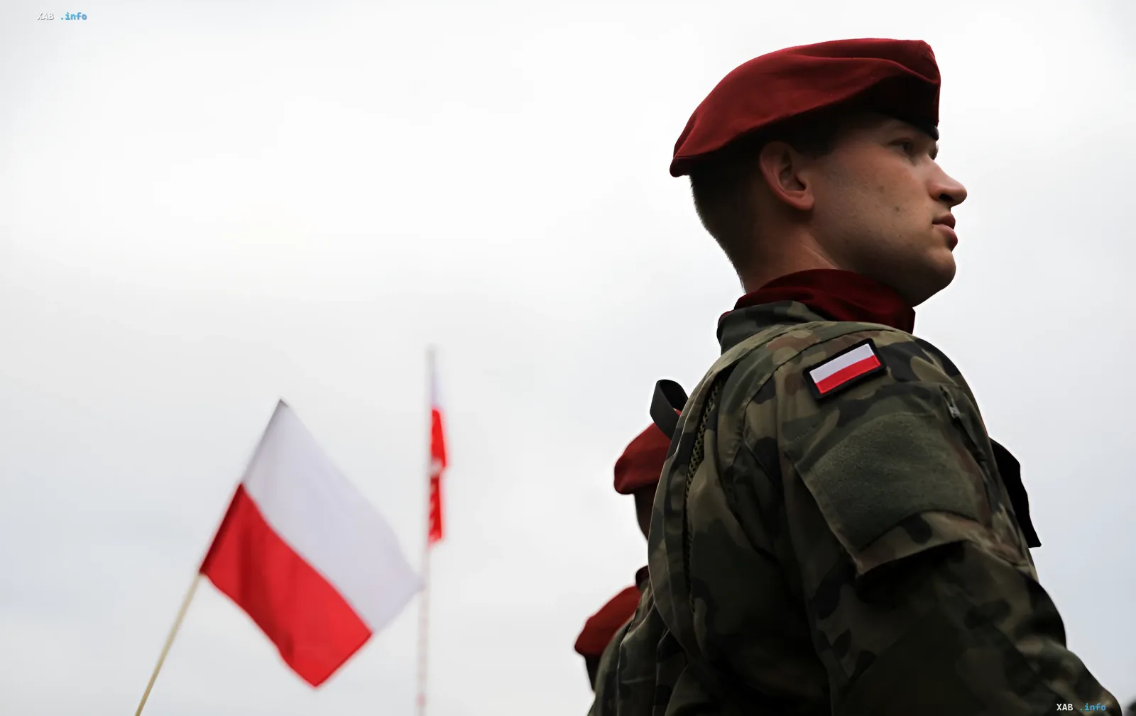 Військовослужбовець польської армії в камуфляжі на тлі польського прапора