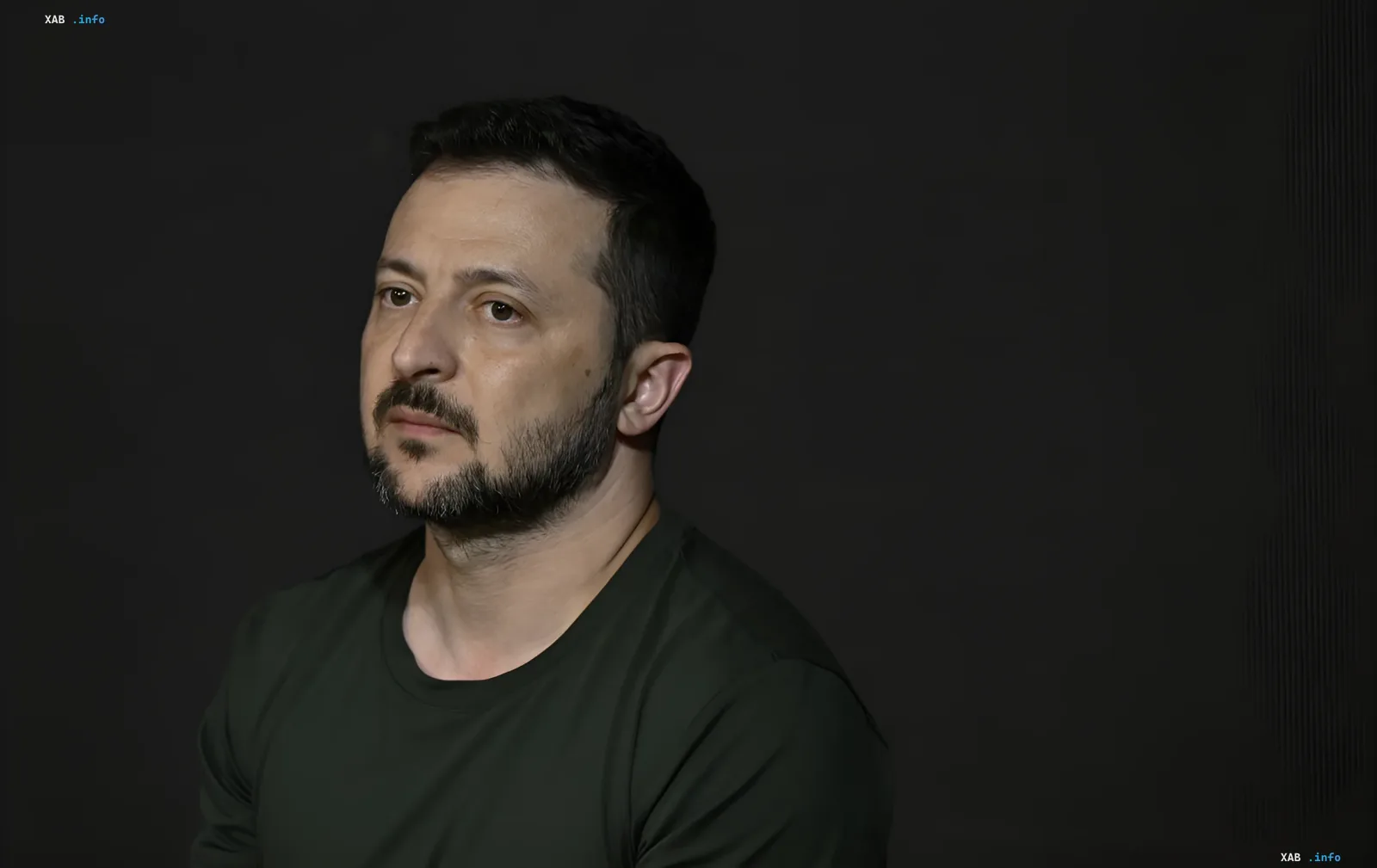 Президент Украины Владимир Зеленский в темной футболке выступает с заявлением
