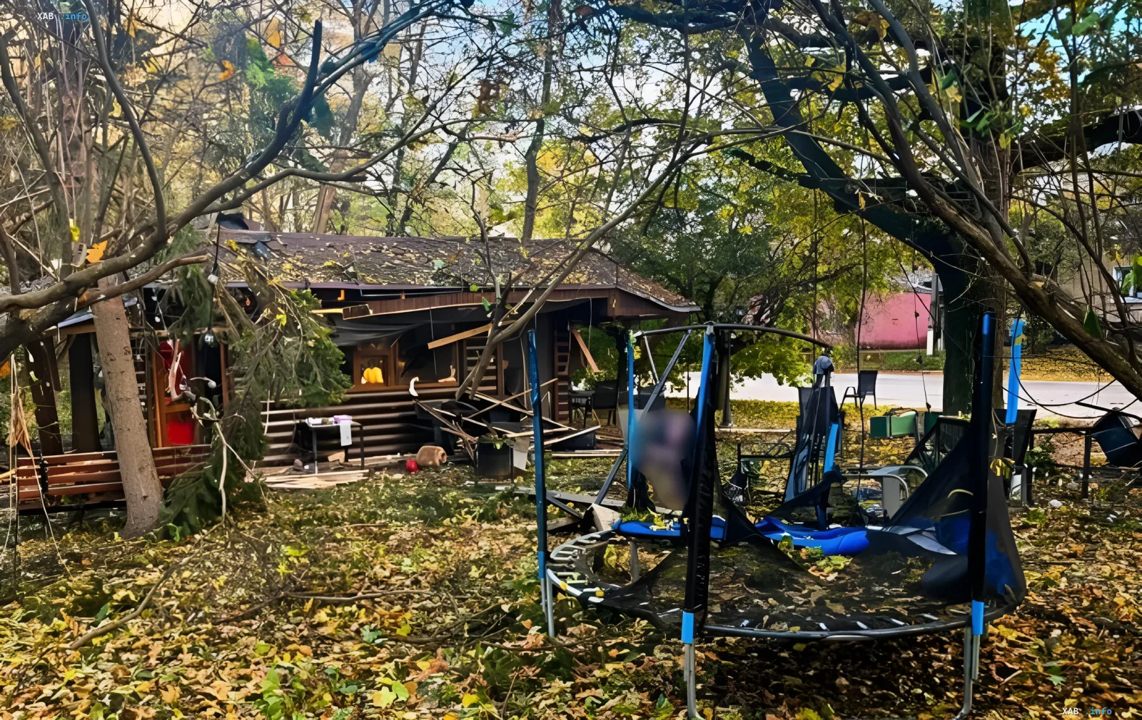 Consequences of a drone strike in Novaya Vodolaga park showing a damaged wooden building and fallen trees