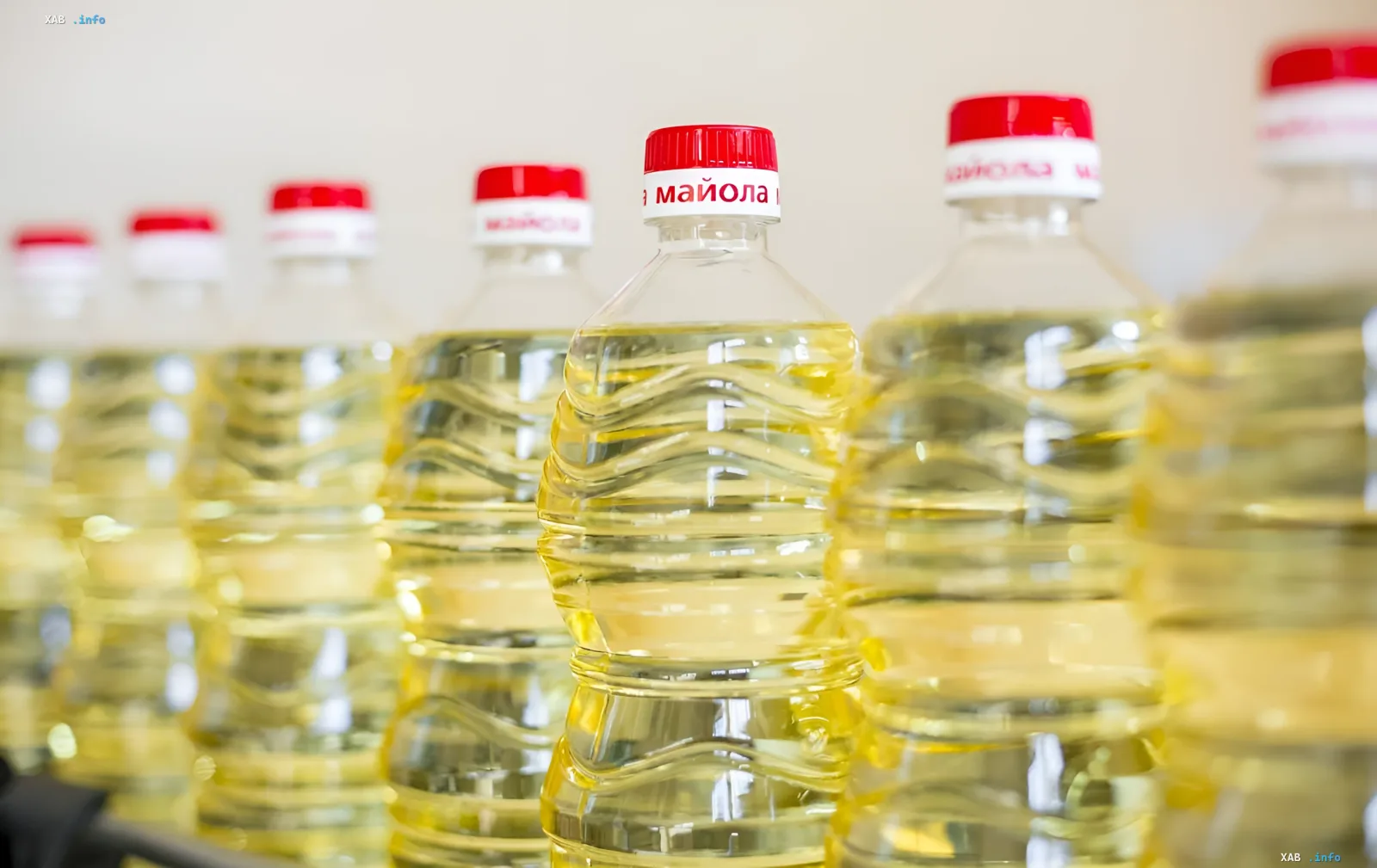 Bottles of sunflower oil in a row at a factory
