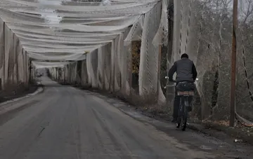 A cyclist rides down a road under a protective anti-drone net on an overcast day